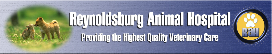 Reynoldsburg Animal Hospital