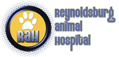 Reynoldsburg Animal Hospital